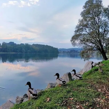 Your Place By The - Near Leonardo Academy, Mxp