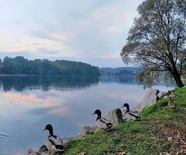 Your Place By The - Near Leonardo Academy, Mxp